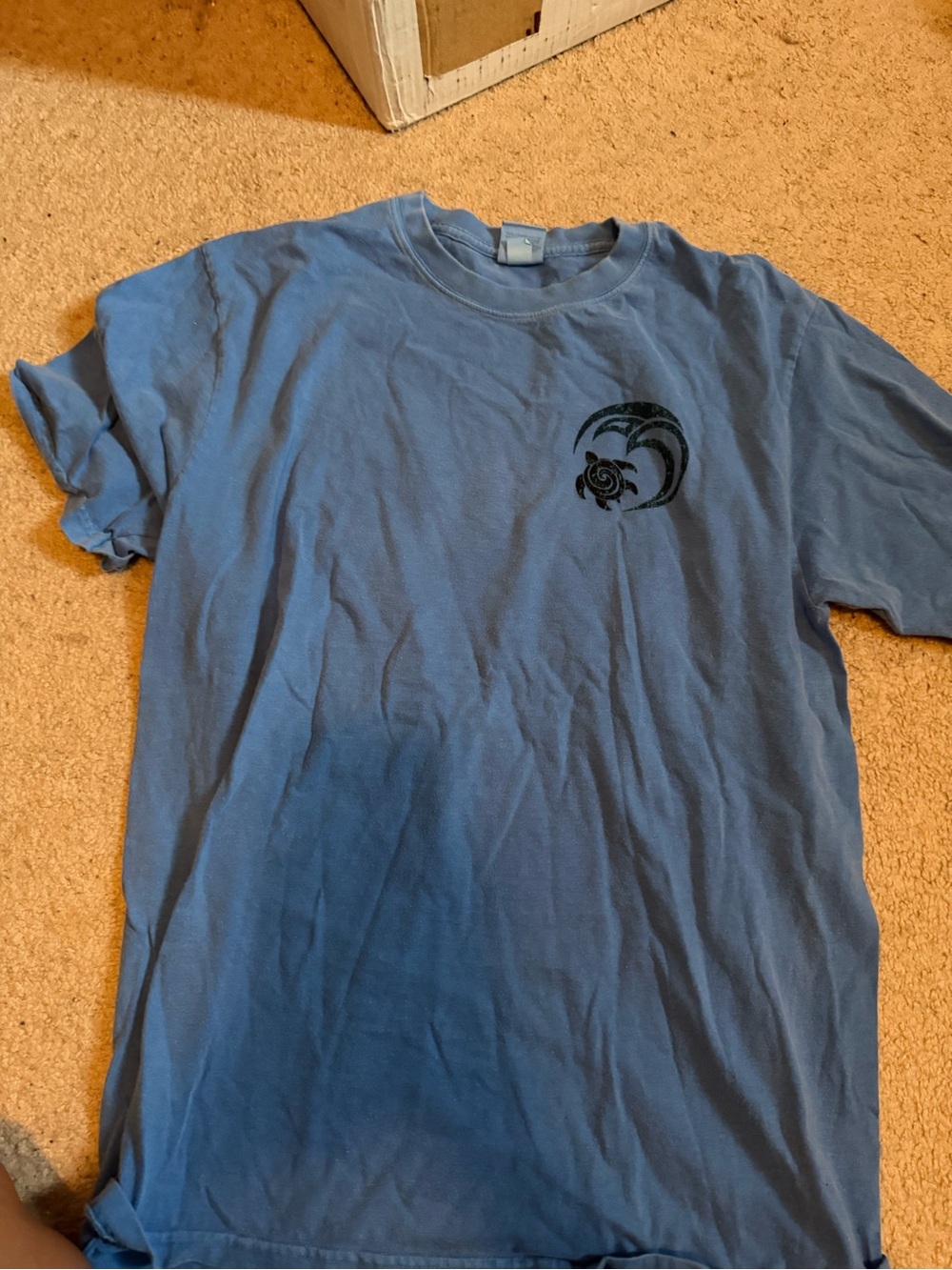 Classic Men's Blue Graphic Tee